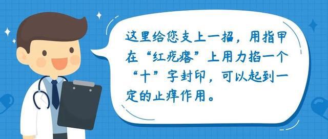 蚊叮虫咬后的“红疙瘩”，这样处理好得快-萌番资讯网