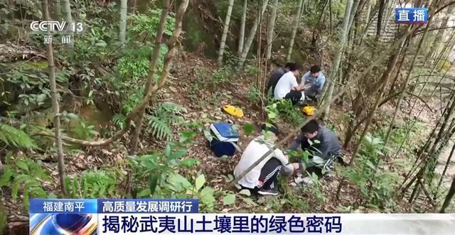 土壤会“呼吸”、空气能卖钱……武夷山生态保护有啥秘诀？-萌番资讯网