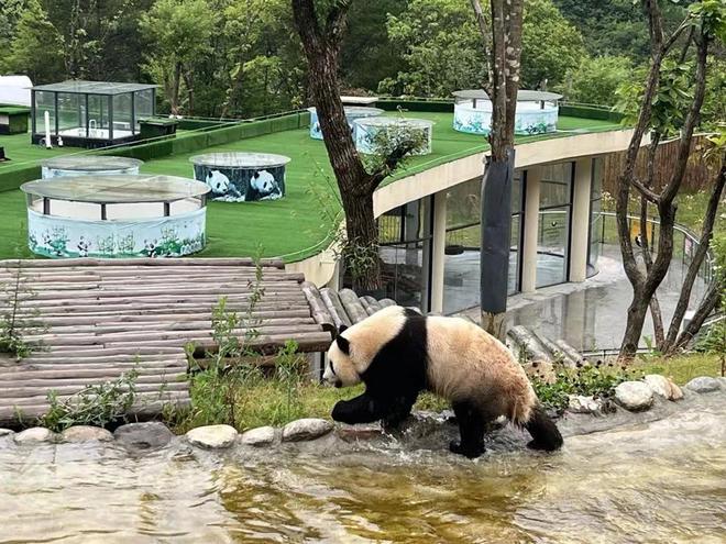 图片[6]-去乡村、去农场、去“小厂”，这届年轻人为何开始“反向实习”？-萌番资讯网