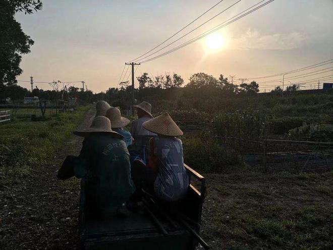 图片[8]-去乡村、去农场、去“小厂”，这届年轻人为何开始“反向实习”？-萌番资讯网