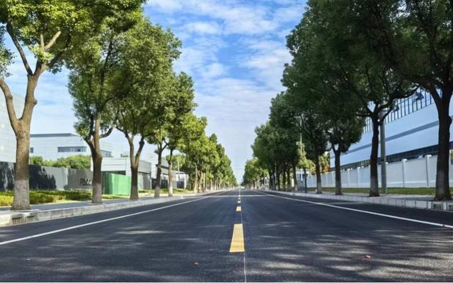 图片[9]-走，压马路去！中山这几条独具特色的道路，你都来过吗？-萌番资讯网