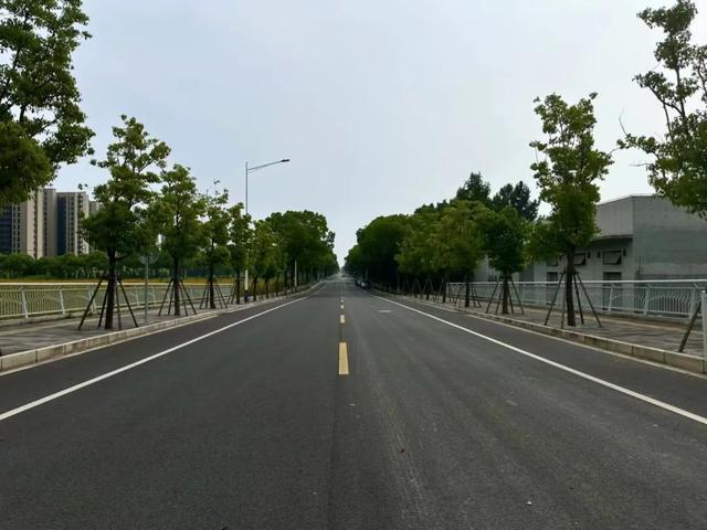 图片[10]-走，压马路去！中山这几条独具特色的道路，你都来过吗？-萌番资讯网