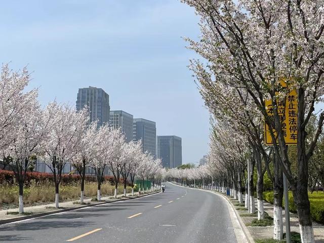 图片[21]-走，压马路去！中山这几条独具特色的道路，你都来过吗？-萌番资讯网