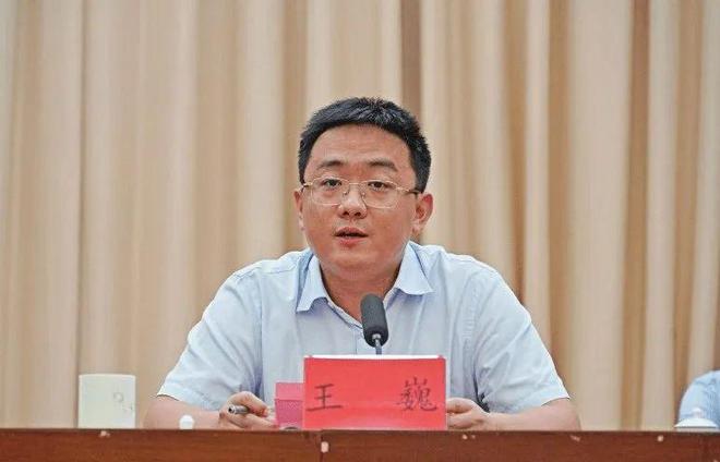 “80后”副市长王巍，被查-萌番资讯网