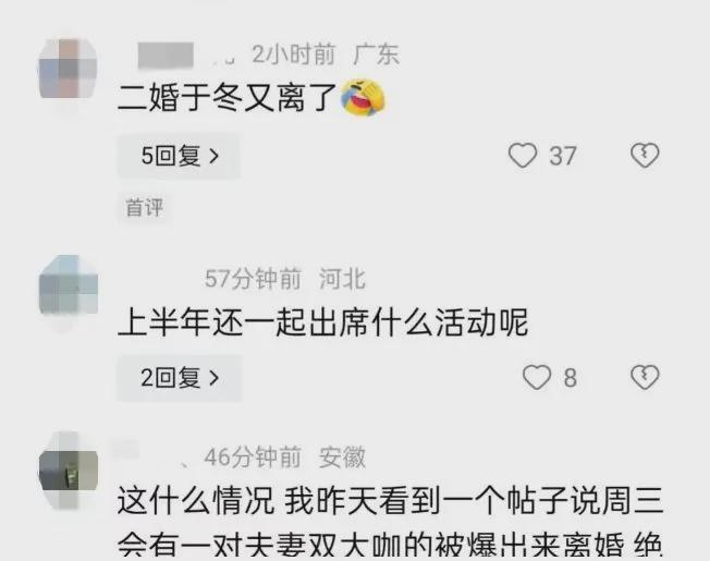 图片[2]-金巧巧被曝离婚三年，女方当年奉子成婚，秘而不宣疑为儿女成长？-萌番资讯网