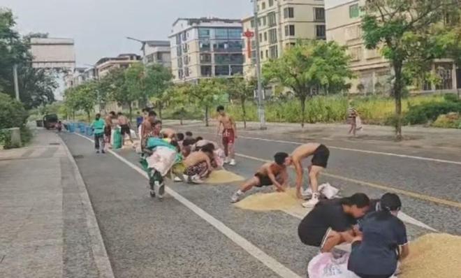 图片[4]-湖南一群高中生暴雨中帮老人抢收稻谷，体育老师骄傲讲述：他们一拥而上！-萌番资讯网