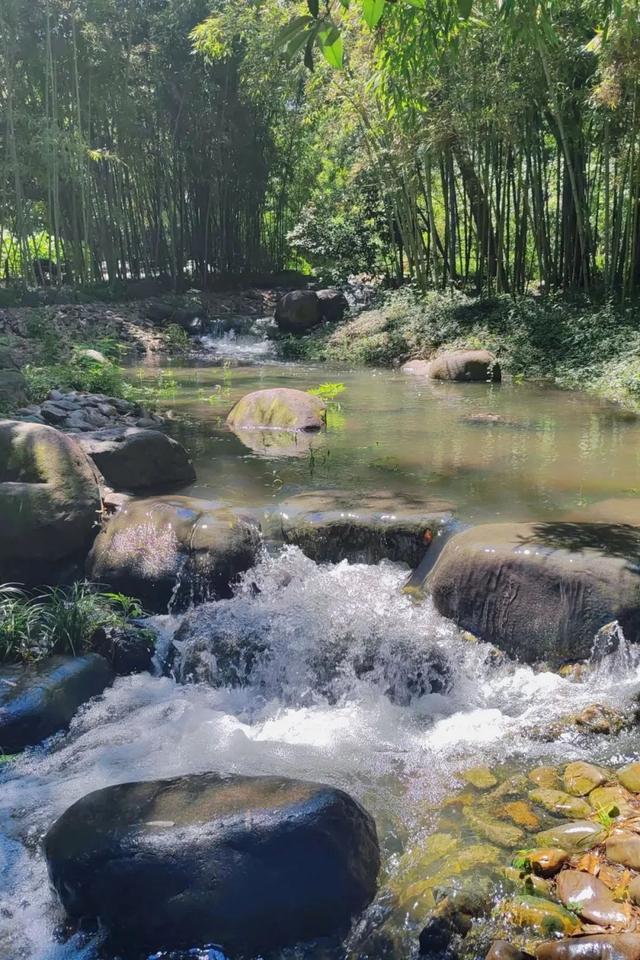 图片[15]-在长宁，被夏日治愈的这些美好瞬间……-萌番资讯网