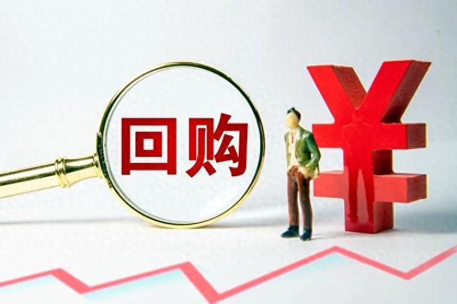 百家公司齐掀回购狂潮！市值管理与注销式回购成新宠-萌番资讯网