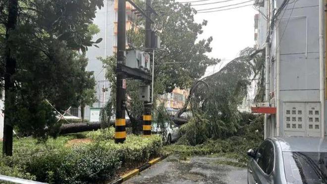 图片[9]-最新！“贝碧嘉”中心已离开上海，但风雨继续！外滩亲水平台水位暴涨，全市110接警8000余起-萌番资讯网