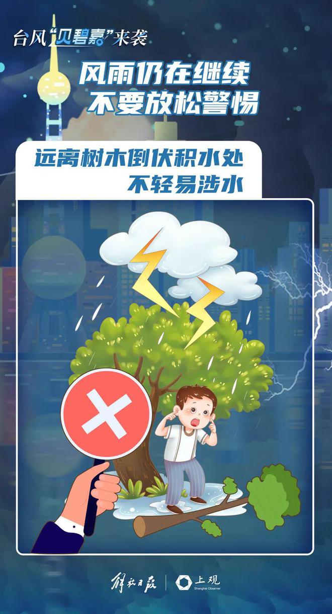 最新！“贝碧嘉”中心已离开上海，但风雨继续！外滩亲水平台水位暴涨，全市110接警8000余起-萌番资讯网