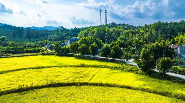 图片[1]-豫西伏牛山区：秋意浓 大美乡村入画来-萌番资讯网