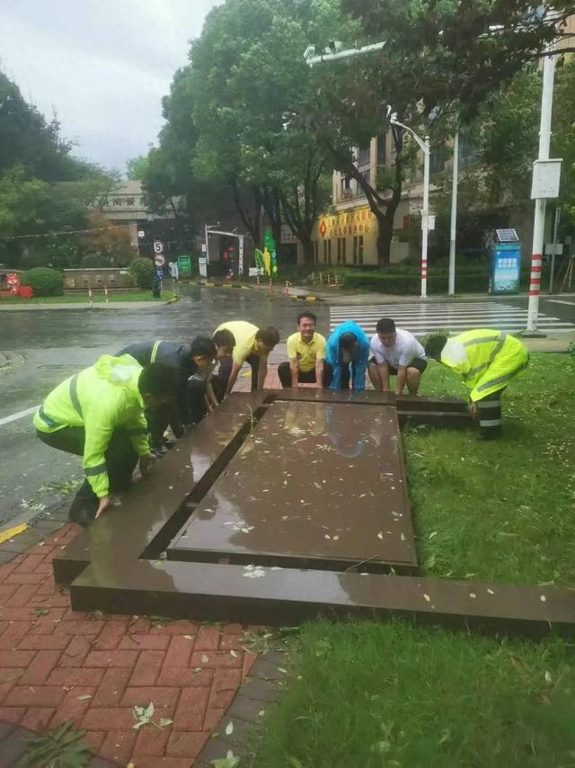 图片[1]-台风过后不松懈！青浦各街镇积极做好台风后恢复工作-萌番资讯网