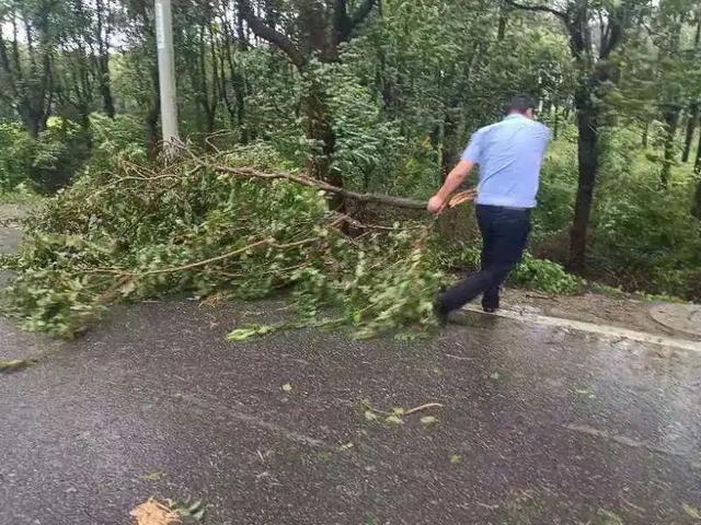 图片[12]-台风过后不松懈！青浦各街镇积极做好台风后恢复工作-萌番资讯网