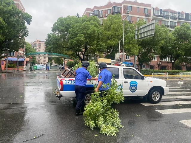 图片[19]-台风过后不松懈！青浦各街镇积极做好台风后恢复工作-萌番资讯网