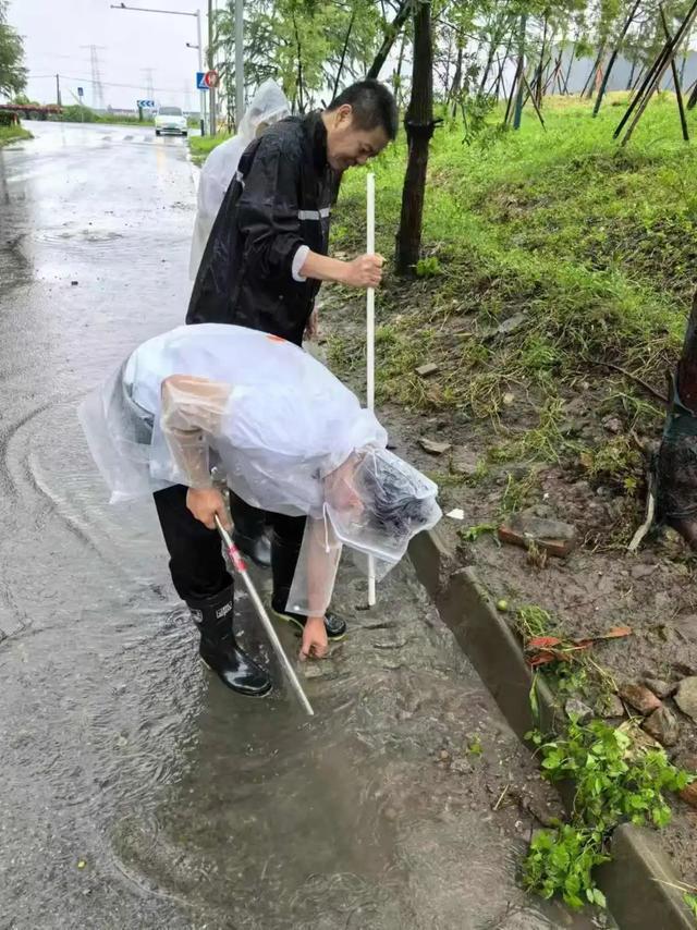 图片[23]-台风过后不松懈！青浦各街镇积极做好台风后恢复工作-萌番资讯网