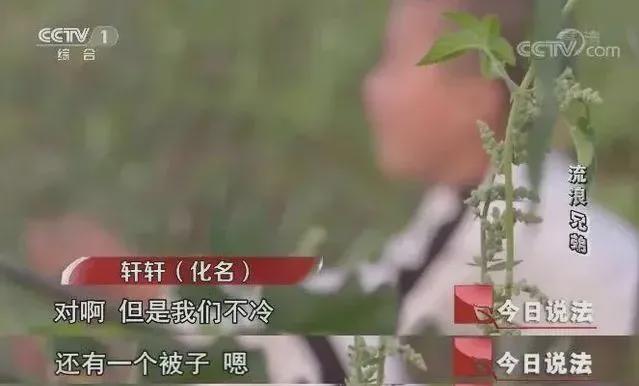 图片[7]-他入狱，全网都在心疼…-萌番资讯网