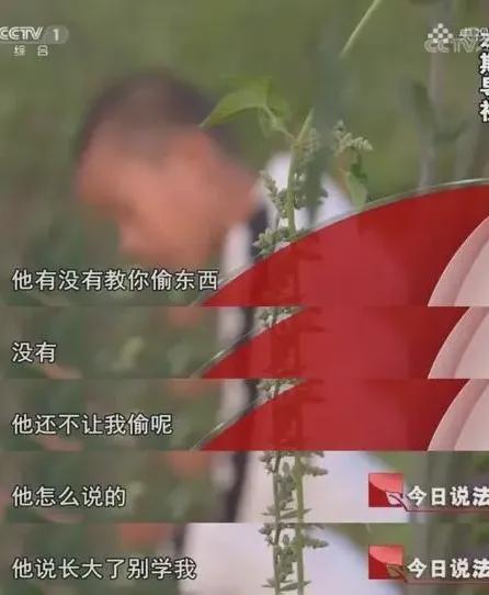 图片[18]-他入狱，全网都在心疼…-萌番资讯网