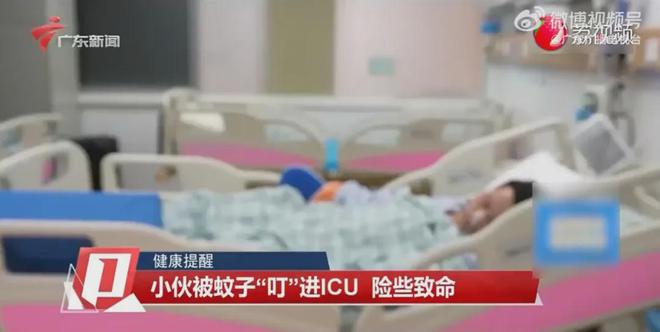 被蚊“叮”一口，20岁小伙四肢抽搐住进ICU！医生提醒：别熬夜-萌番资讯网