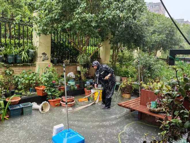 图片[3]-“各小区，持续暴雨外围水位很高，尽量自救！”金山山阳镇，多个小区厂区积水-萌番资讯网