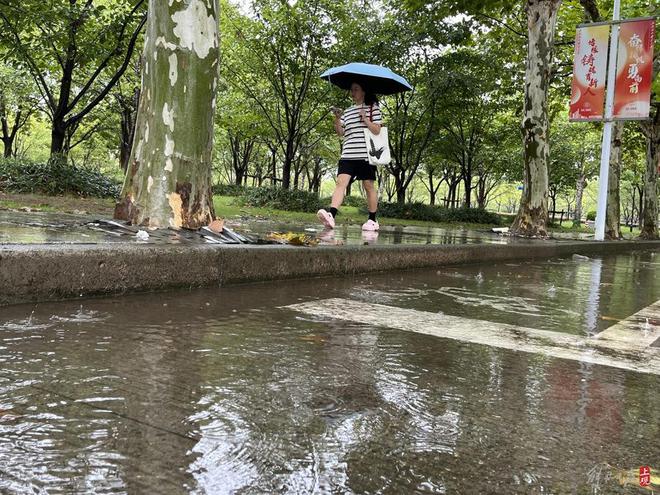 图片[4]-受台风尾部环流影响上海晨间暴雨，延安路高架拥堵，松江大学城学生雨中赶课-萌番资讯网