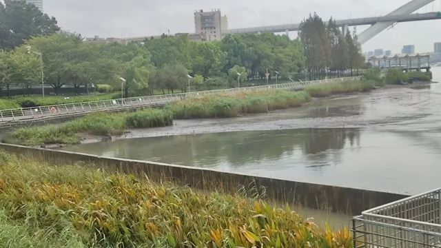 黄浦江的水漫出来了？上海防汛办回应-萌番资讯网