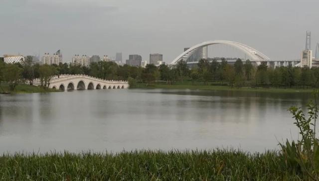 世博文化公园南区开园，市民风雨中登顶双子山-萌番资讯网