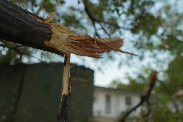 现场：多枚航弹爆炸致我赴黎维和部队营区受损-萌番资讯网