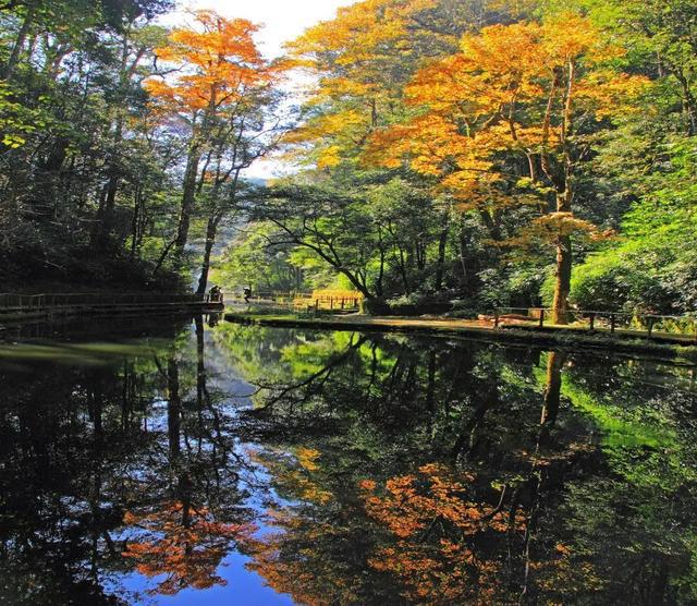 基建升级、民生焕新，徐汇区助力屏边县乡村建设-萌番资讯网