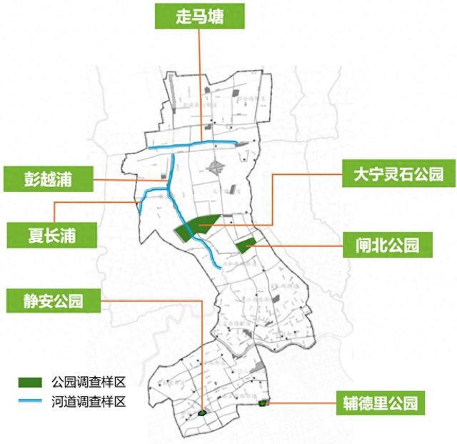 图片[1]-拍到啦！这些“小可爱”，出没于静安这些公园→-萌番资讯网