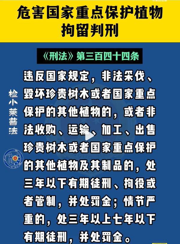 收到50克野生“发菜”，买家报警了！-萌番资讯网