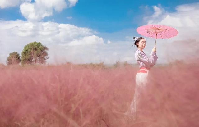 图片[13]-风景超美，7条cityride线路带你沪郊赏秋色-萌番资讯网