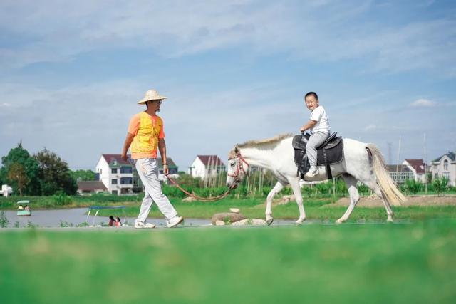 图片[14]-风景超美，7条cityride线路带你沪郊赏秋色-萌番资讯网