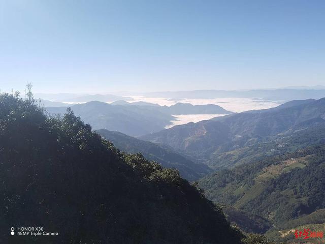 云南哀牢山发现“世界最神秘的鸟”，野外仅千只！对话发现者：连续4年在哀牢山发现-萌番资讯网