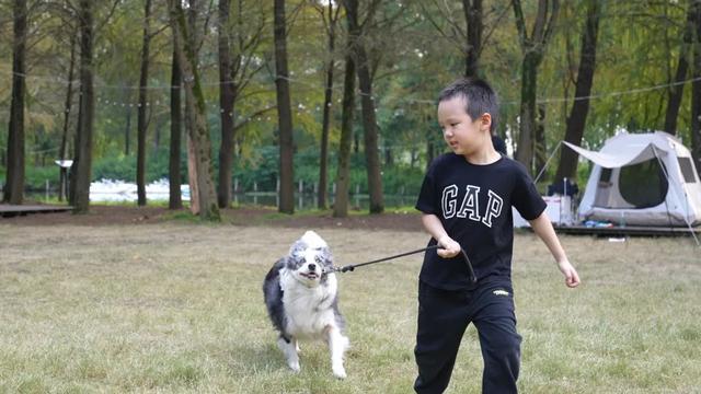 图片[3]-10月29日，告别城市喧嚣，来泖港开启心灵治愈之旅-萌番资讯网