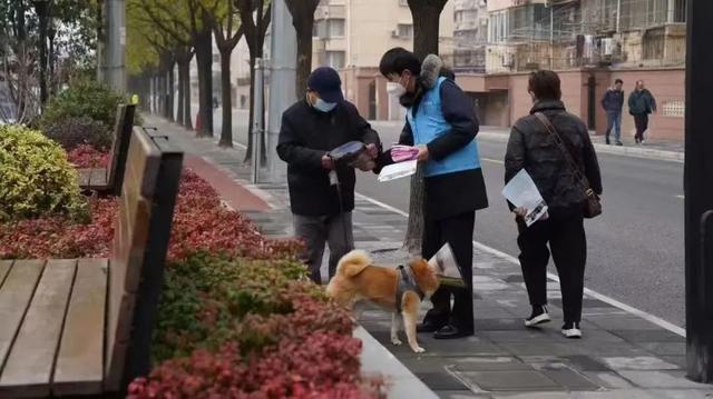 宝山监狱：“小青团”出品！让聋哑孩子、独家老人倍感温暖的法治故事-萌番资讯网