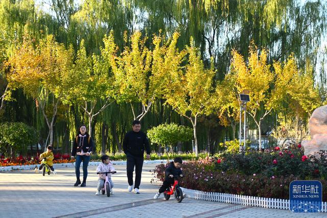 新时代中国调研行之看区域·西部篇｜宁夏银川：塞上江南生态美-萌番资讯网