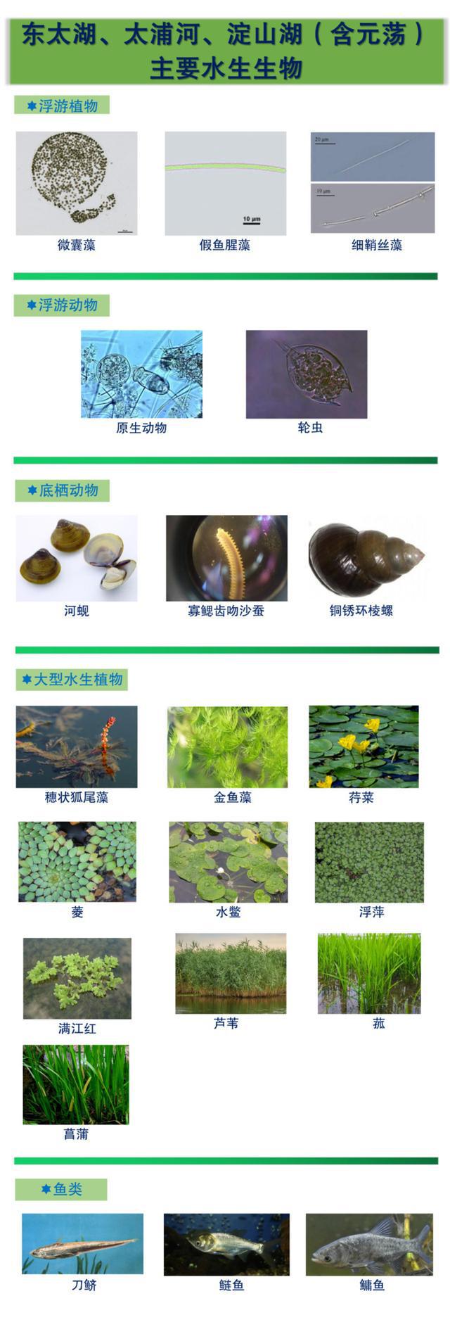 一图读懂｜长三角示范区重点跨界河湖健康状况-萌番资讯网