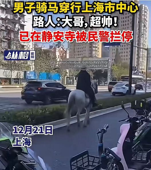 图片[10]-太突然！上海金山马路惊现7匹马，网友看呆：哪来的？警方火速赶到-萌番资讯网