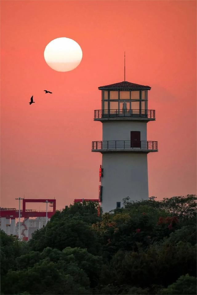 图片[10]-金风送爽，校园如画，一起来看沪上高校秋日美景→-萌番资讯网