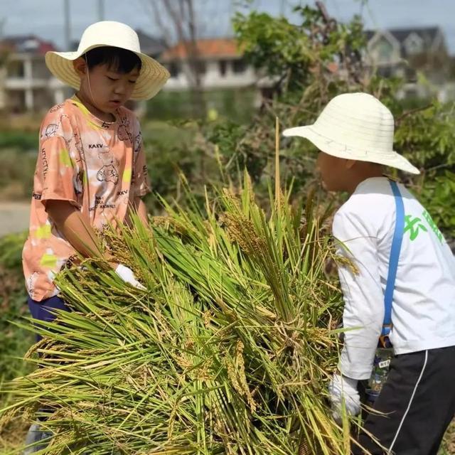 图片[13]-崇明怀心农场糦尚心田收割节招募啦！-萌番资讯网