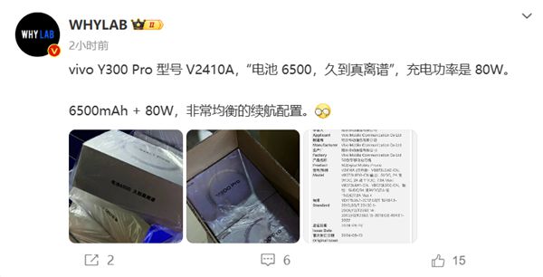 vivo Y300 Pro即将发布：80W快充+6500mAh大电池-欣猫博客