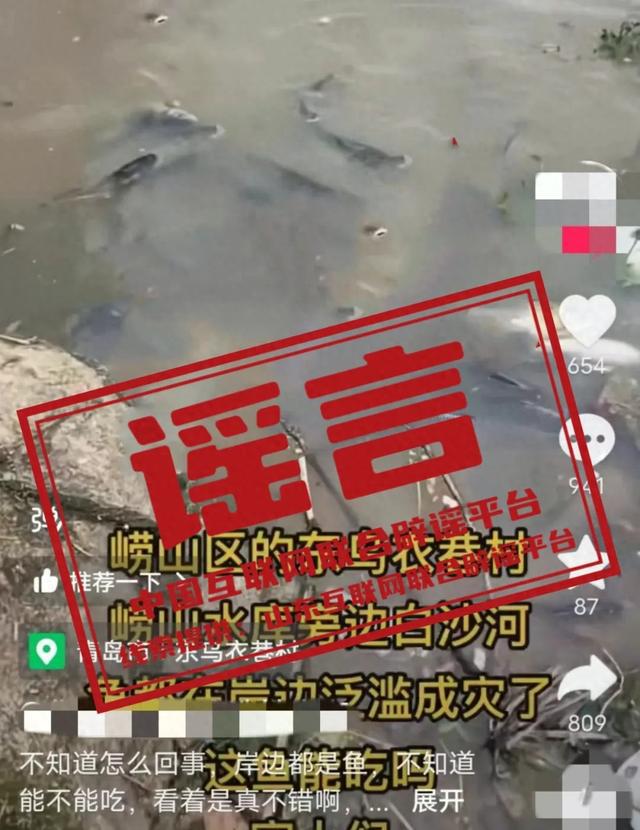 青岛崂山水库污染严重，鱼类漂浮成灾？假的！-欣猫博客