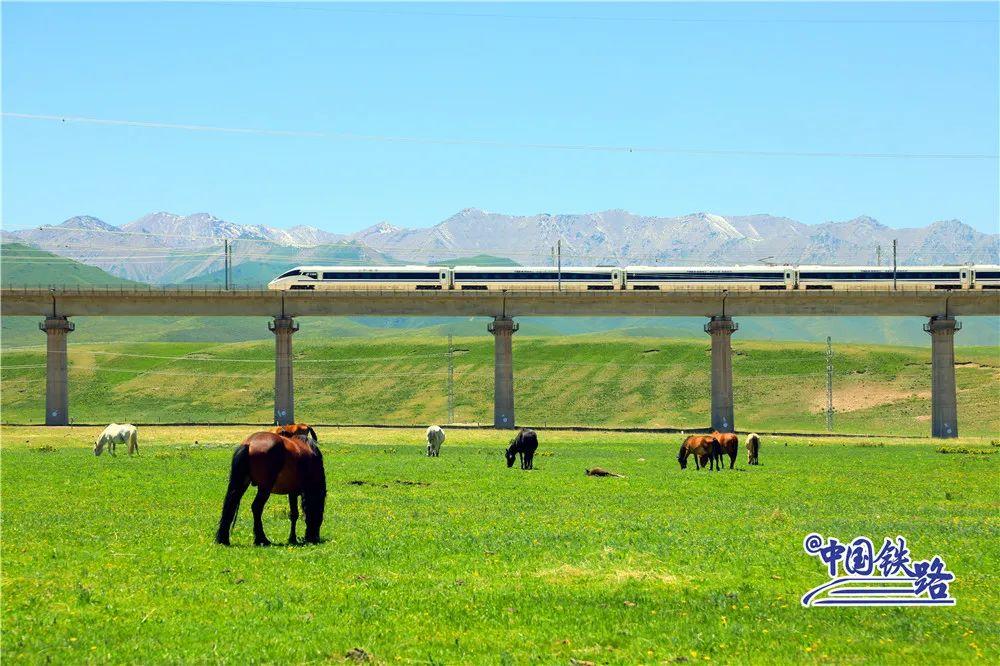 中国高铁累计发送旅客__高铁年发送旅客人次