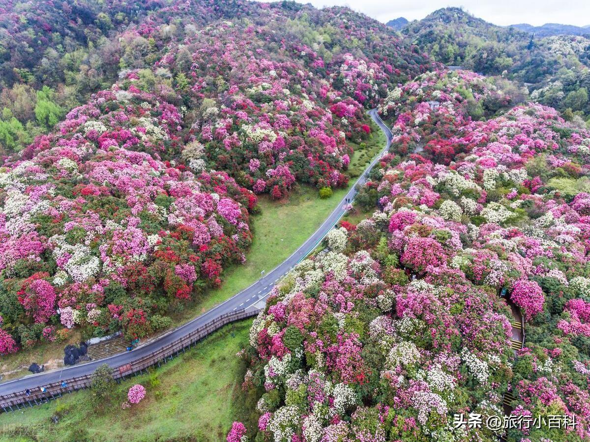 贵州景点距离远吗__贵州景点之间离得远吗