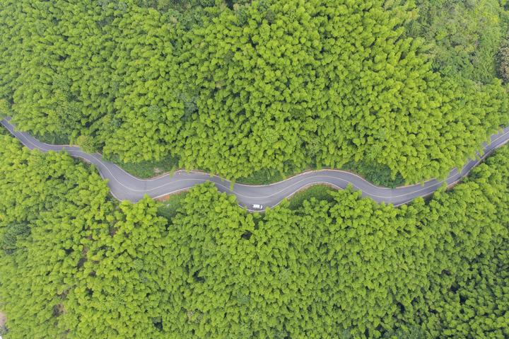 农村公路助力乡村振兴_乡村振兴农村道路建设_