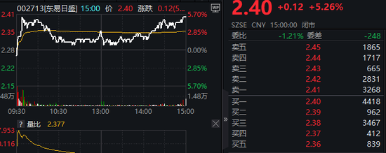 _公司查封后会怎样_公司债务查封个人房产