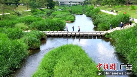 山海连城计划深圳_深圳山海连城计划概念城市设计_