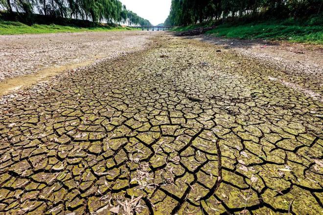 时隔49年再现“旱涝急转”，水深火热的河南，实在太难了__时隔49年再现“旱涝急转”，水深火热的河南，实在太难了